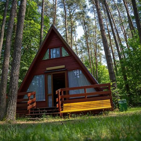 "Lesne Ustronie" Villa Byslaw Kültér fotó