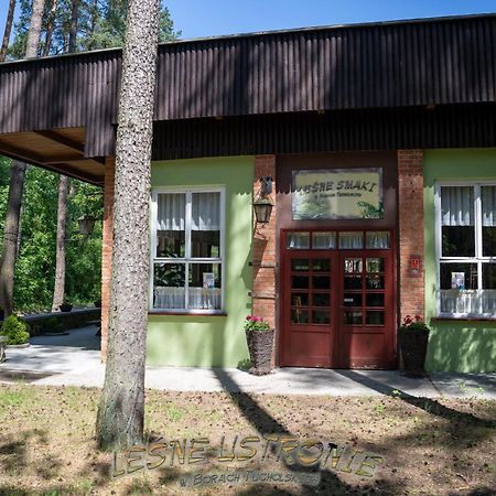 "Lesne Ustronie" Villa Byslaw Kültér fotó