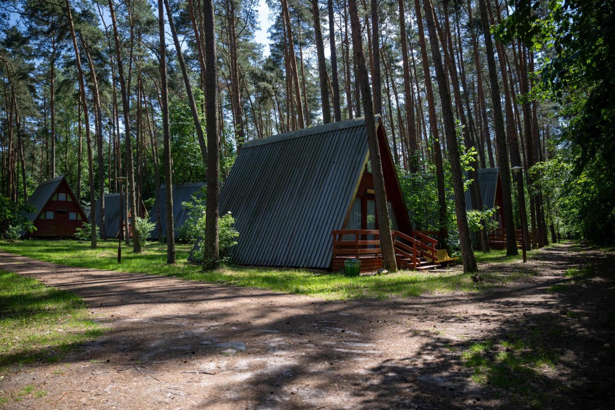 "Lesne Ustronie" Villa Byslaw Kültér fotó
