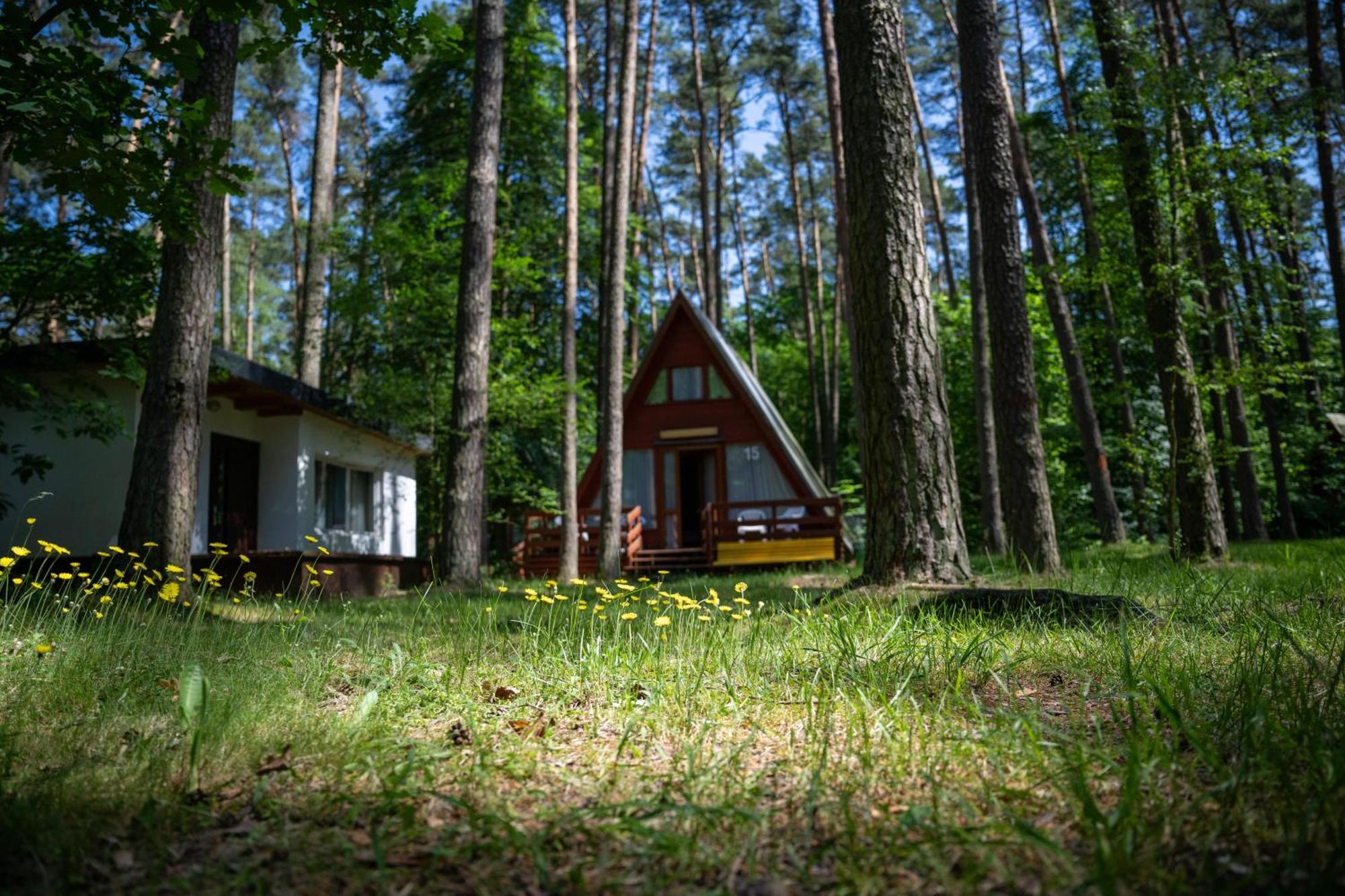 "Lesne Ustronie" Villa Byslaw Kültér fotó